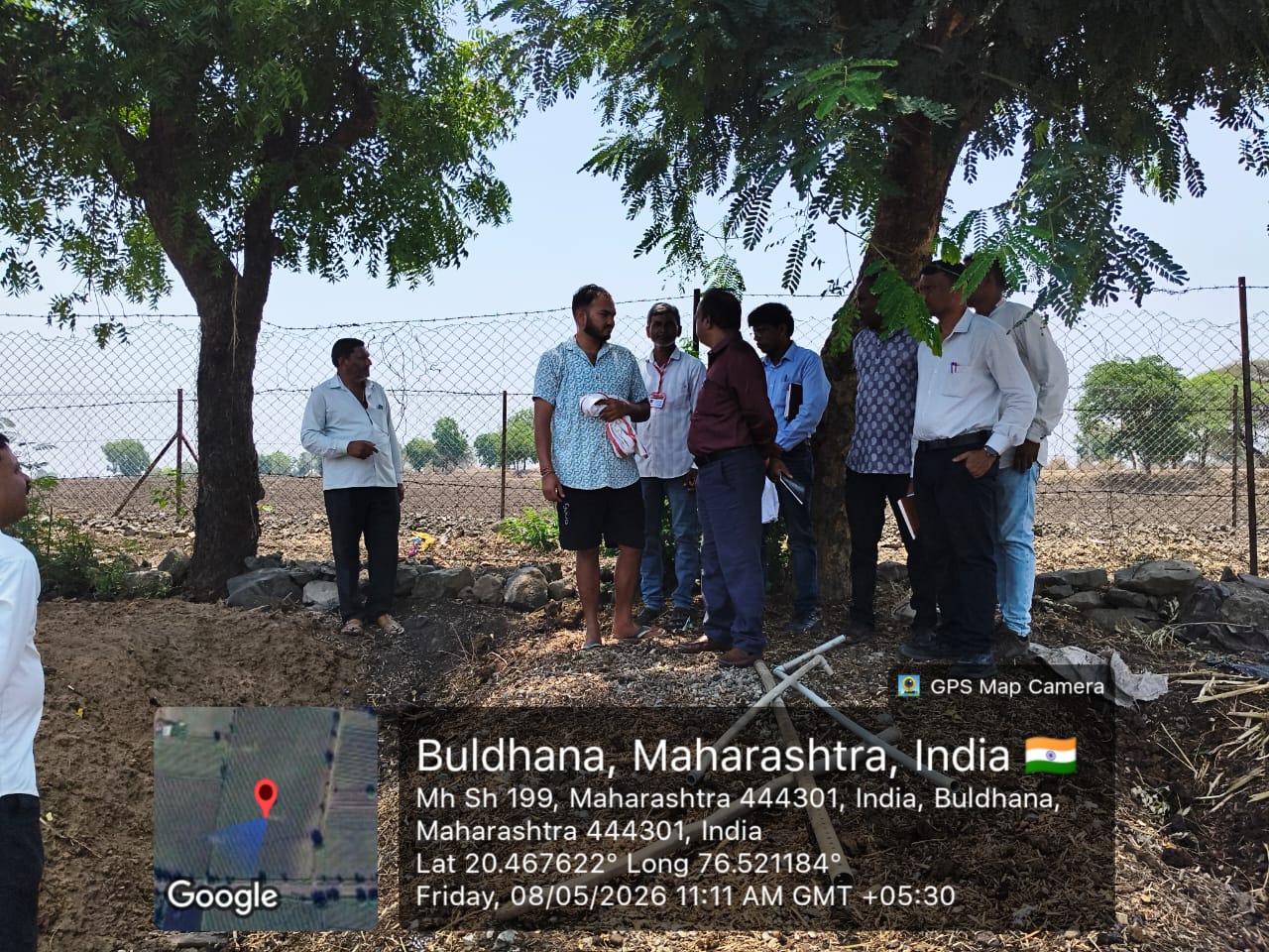 Tree Plantation
